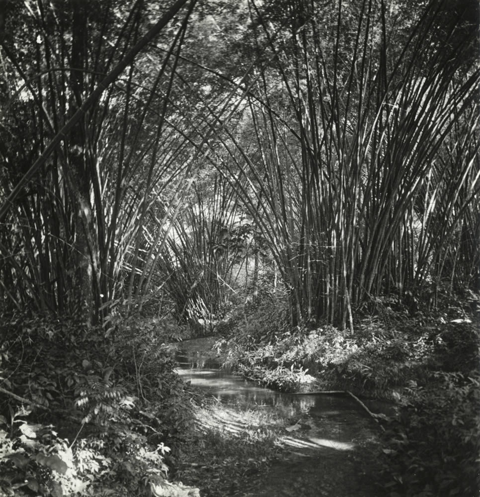 Isola di Trinidad, Maggio1938